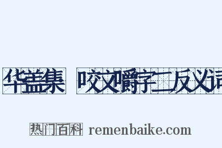 华盖集·咬文嚼字二反义词是什么意思的图片